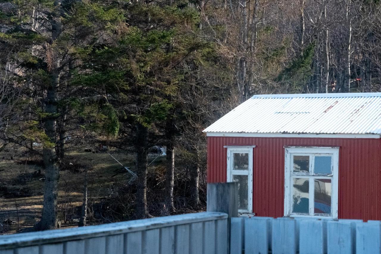The Guesthouse By The Fjord Thingeyri エクステリア 写真