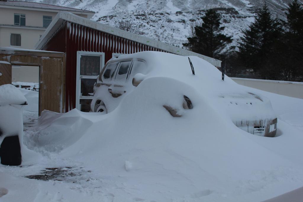 The Guesthouse By The Fjord Thingeyri エクステリア 写真