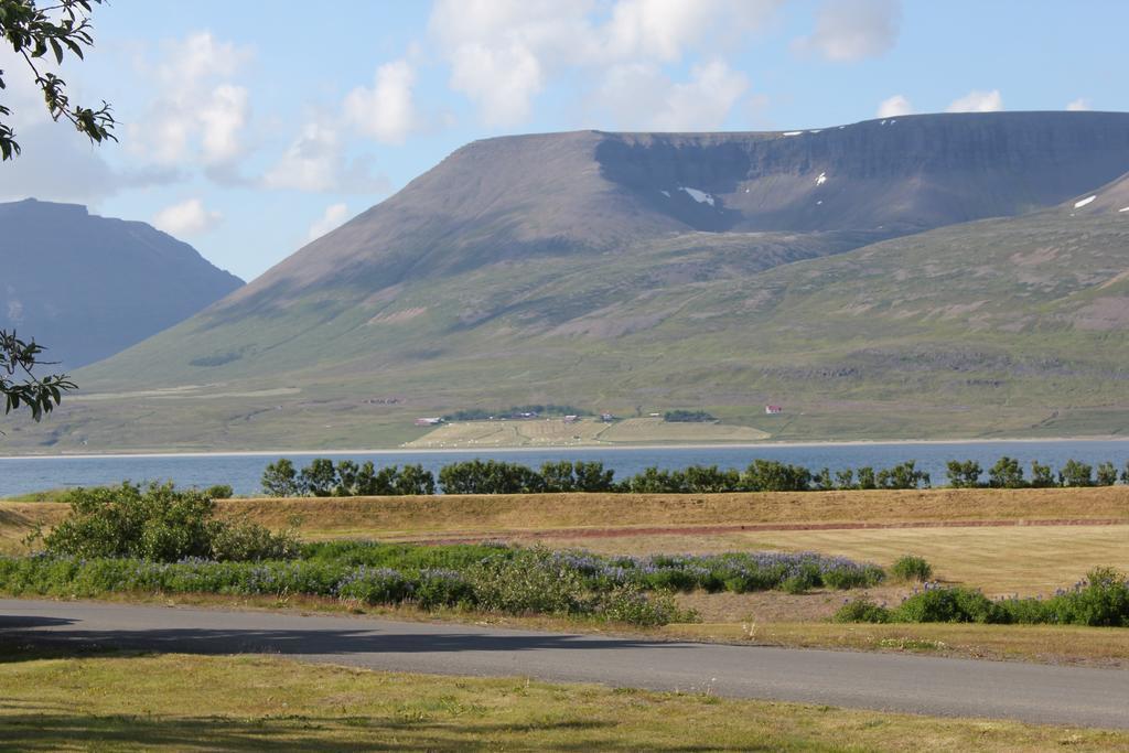The Guesthouse By The Fjord Thingeyri エクステリア 写真